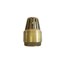 VALVULA PIE DE BRONCE